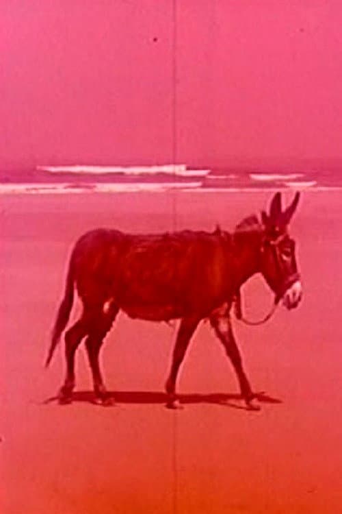 Playa insólita (1962) poster
