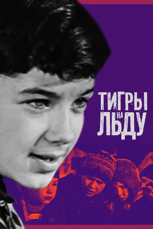 Тигры на льду (1971) poster