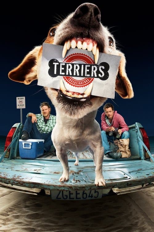 Terriers (2010) poster
