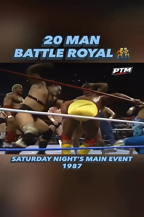 WWF 20-Man Battle Royal 1987 (1987) poster