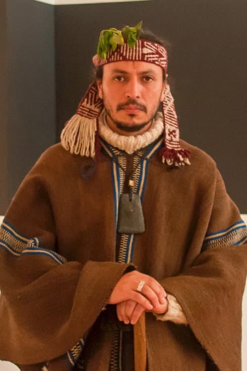 Francisco Huichaqueo foto