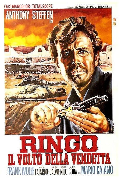 Ringo, il volto della vendetta (1966) poster