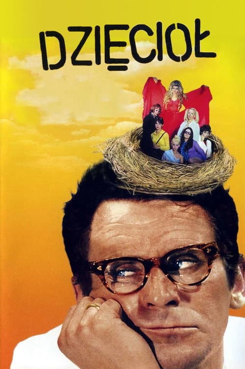 Dzięcioł (1971) poster