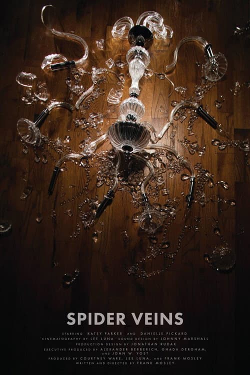 Spider Veins (2016) poster
