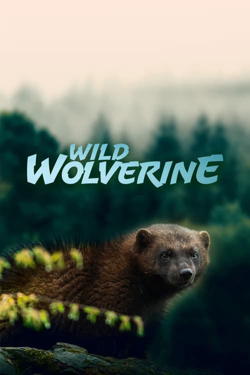 Wild Wolverine (2020) poster