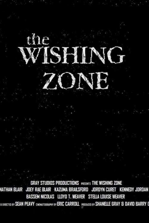 The Wishing Zone (2016) poster