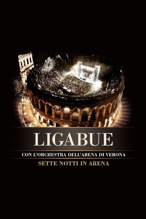 Ligabue: Sette notti in Arena (2009) poster