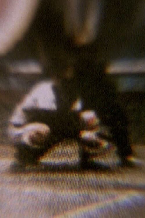 Soft Ticket (2004) poster