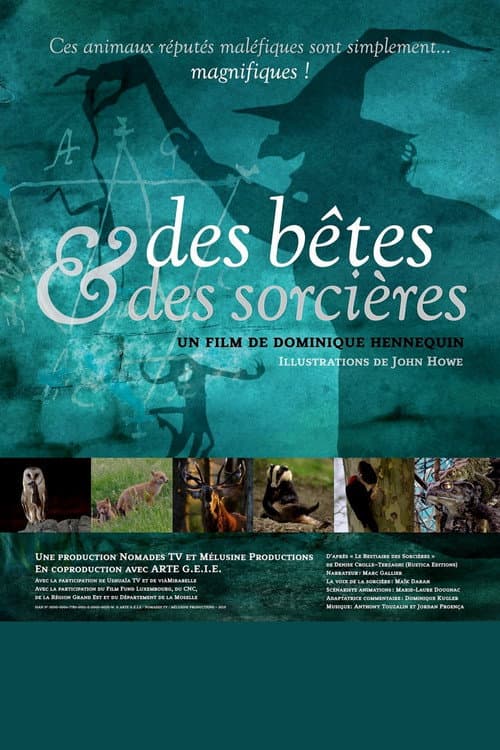 Des Bêtes et des Sorcières (2019) poster