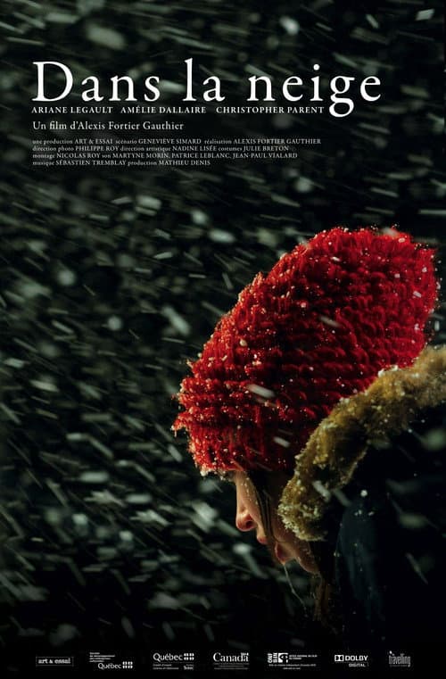 Dans la neige (2011) poster