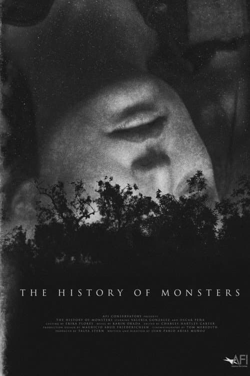 La historia de los monstruos (2019) poster
