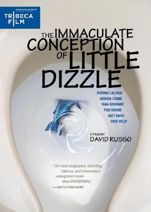 The Immaculate Conception of Little Dizzle (2010) poster