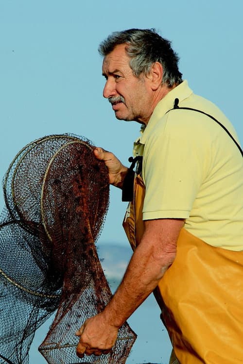Franco Lupo foto