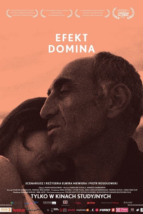 Efekt domina (2014) poster