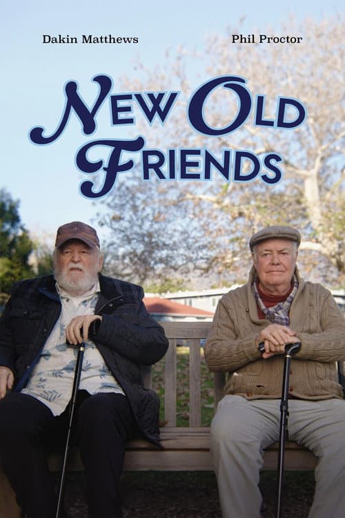 New Old Friends (2024) poster