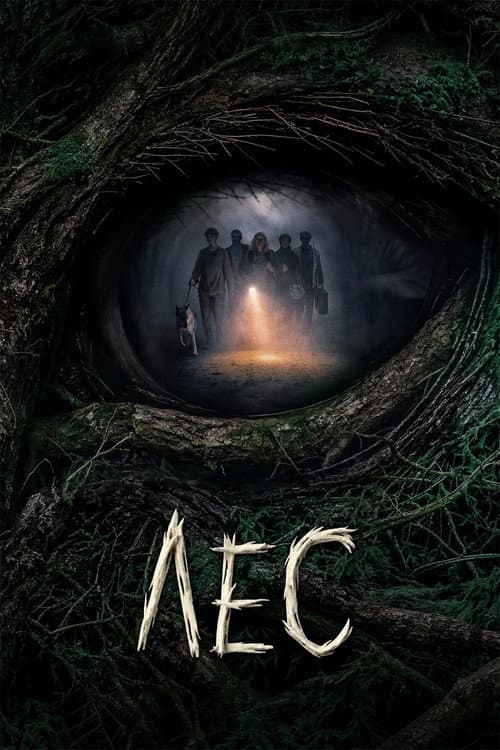 Лес (2026) poster