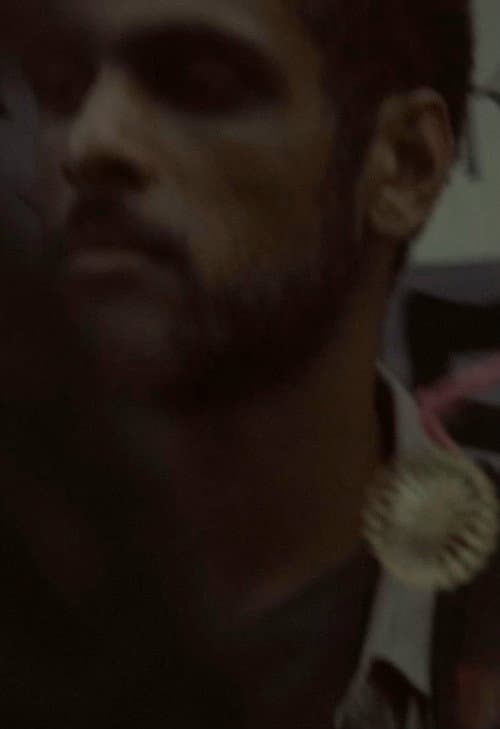 Diario ordinário (2019) poster