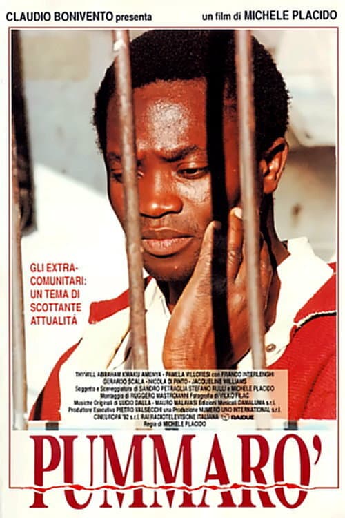 Pummarò (1990) poster