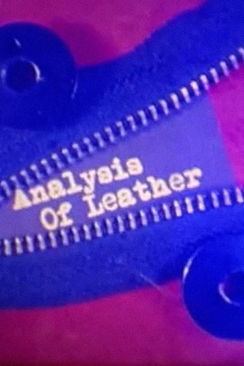 Analysis of Leather (2013) poster