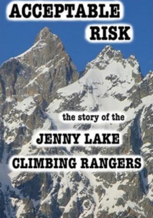 Acceptable Risk (2003) poster