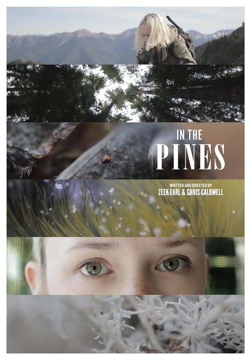 In the Pines (2011) poster