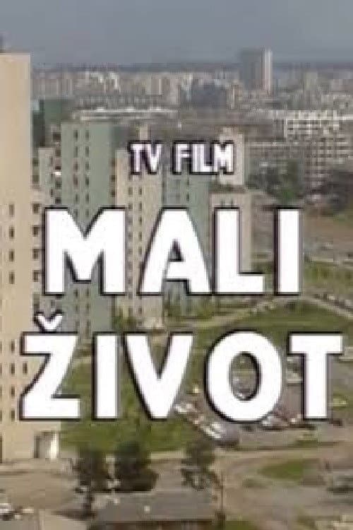 Mali život (1991) poster
