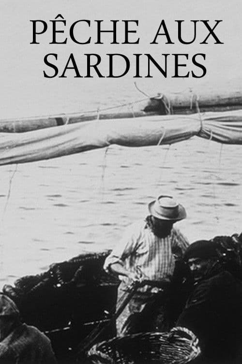 Pêche aux sardines (1896) poster