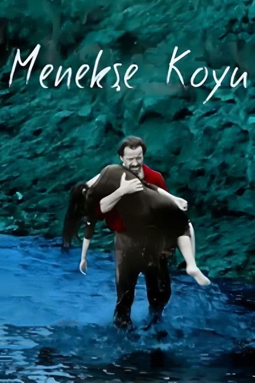 Menekşe Koyu (1991) poster