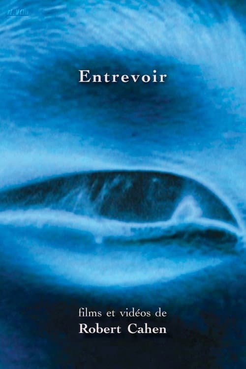 Arrêt sur marche (1979) poster