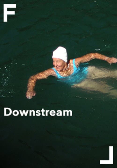 Im Fluss (2008) poster