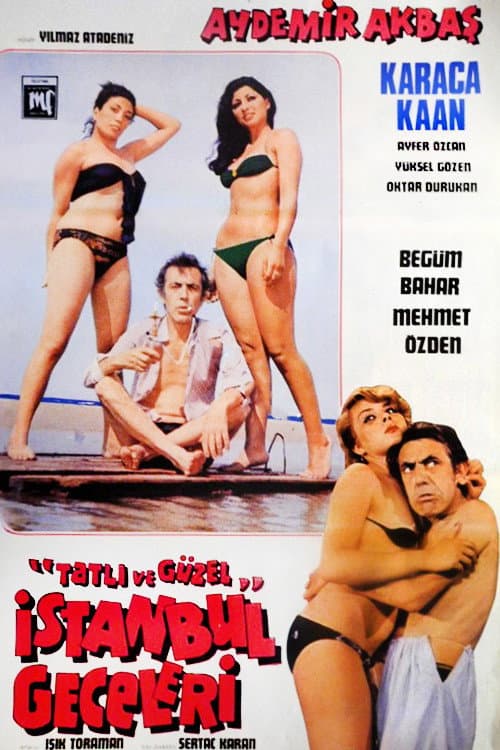 Tatlı ve Güzel İstanbul Geceleri (1979) poster