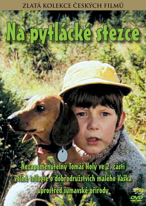 Na pytlácké stezce (1979) poster