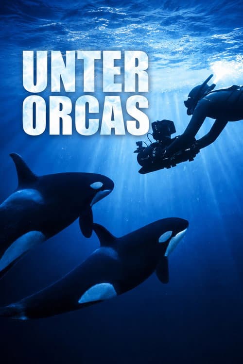 Unter Orcas (2025) poster