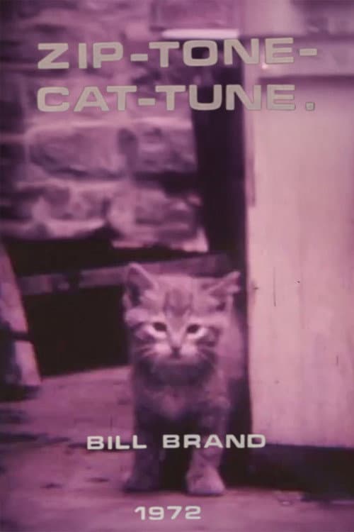 Zip-Tone-Cat-Tune (1972) poster