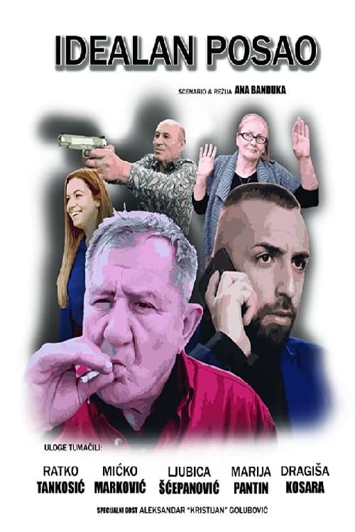 Idealan posao (2020) poster