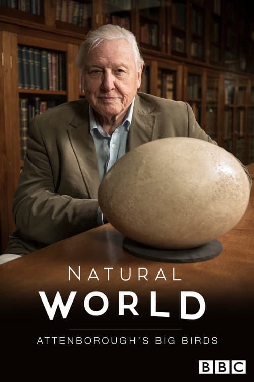 Attenborough's Big Birds (2015) poster