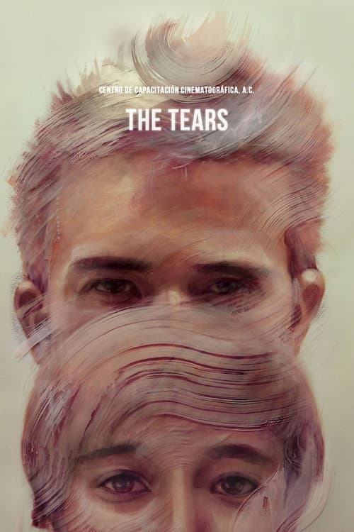 Las lágrimas (2012) poster