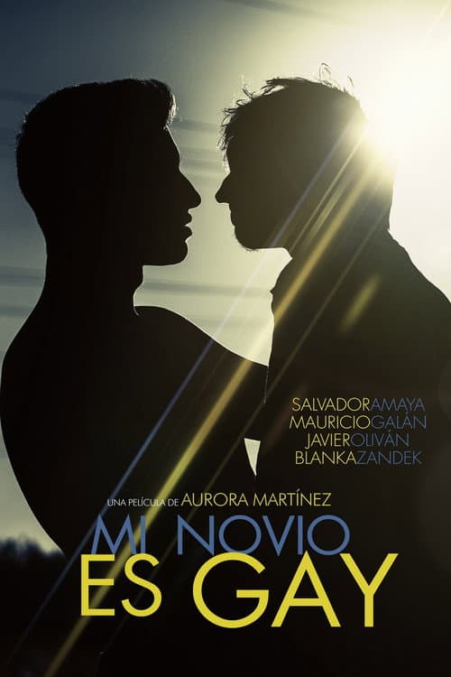 Mi novio es gay (2015) poster