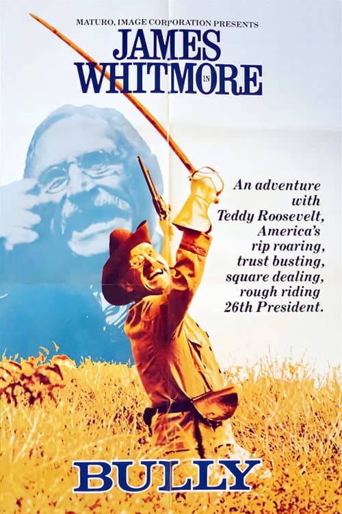 Bully: An Adventure with Teddy Roosevelt (1978) poster