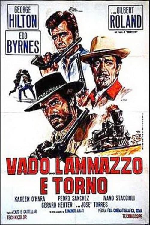 Vado... l'ammazzo e torno (1967) poster