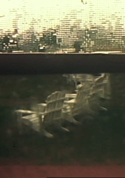 Group VIII: Hidden Tracings/Exposed Fragrances (1980) poster