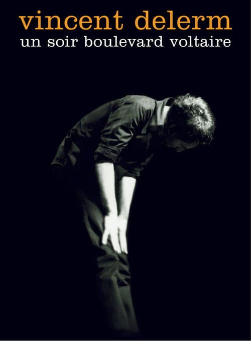 Vincent Delerm - Un soir boulevard Voltaire (2003) poster