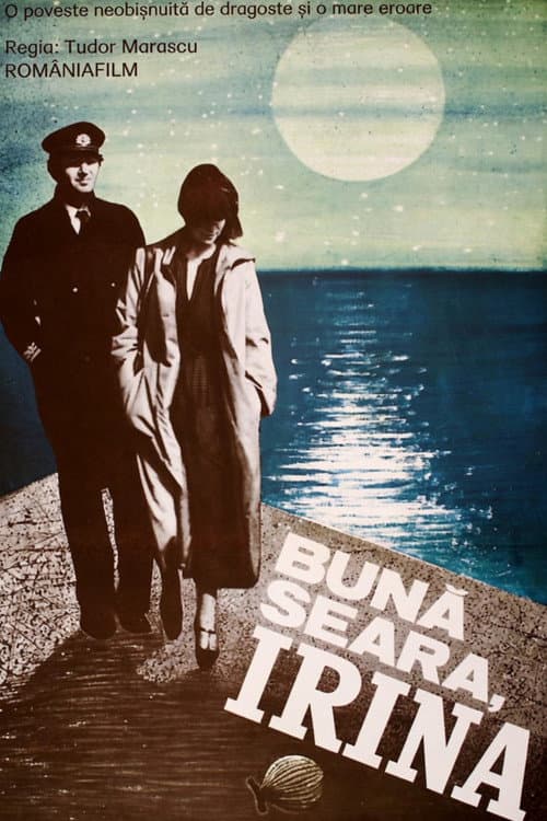 Bună seara, Irina (1980) poster