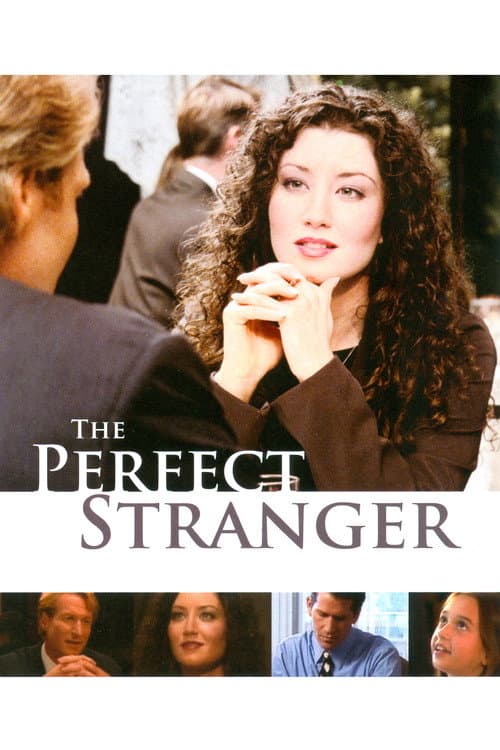 The Perfect Stranger (2005) poster