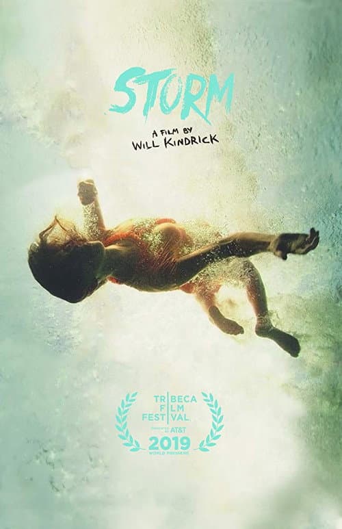 Storm (2019) poster