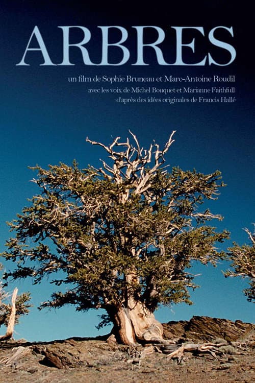 Arbres (2001) poster
