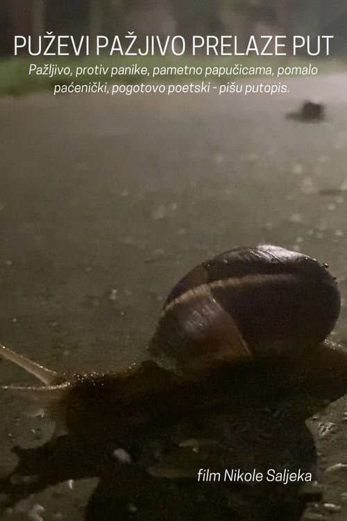 Puževi pažljivo prelaze put (2024) poster