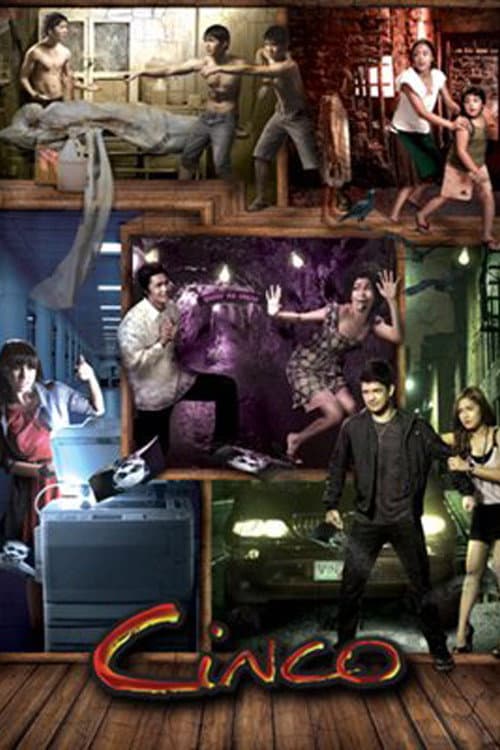 Cinco (2010) poster