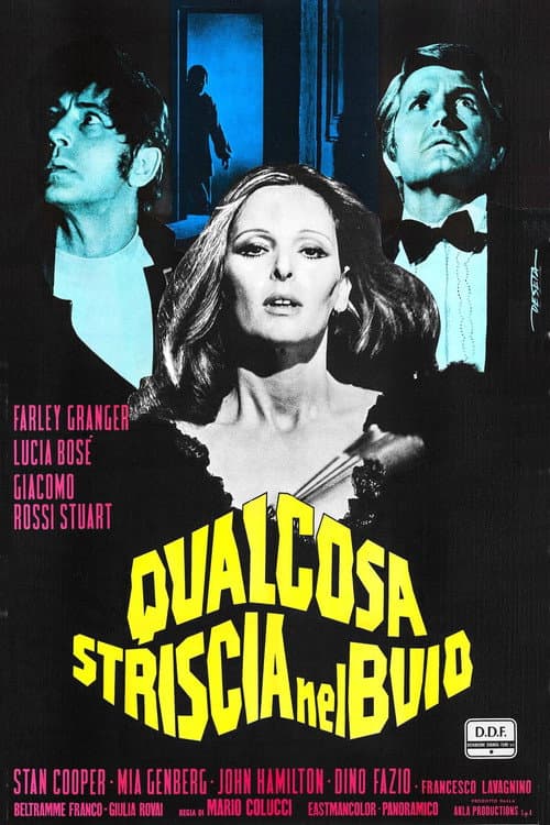 Qualcosa striscia nel buio (1971) poster