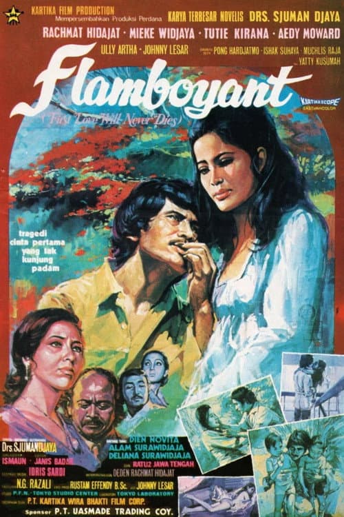 Flamboyant (1972) poster